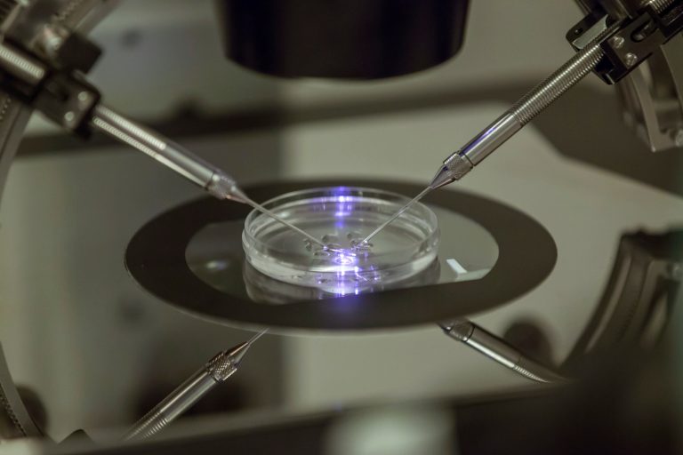 In this Aug. 14, 2013, file photo, an in vitro fertilization embryologist works on a petri dish at a fertility clinic in London.