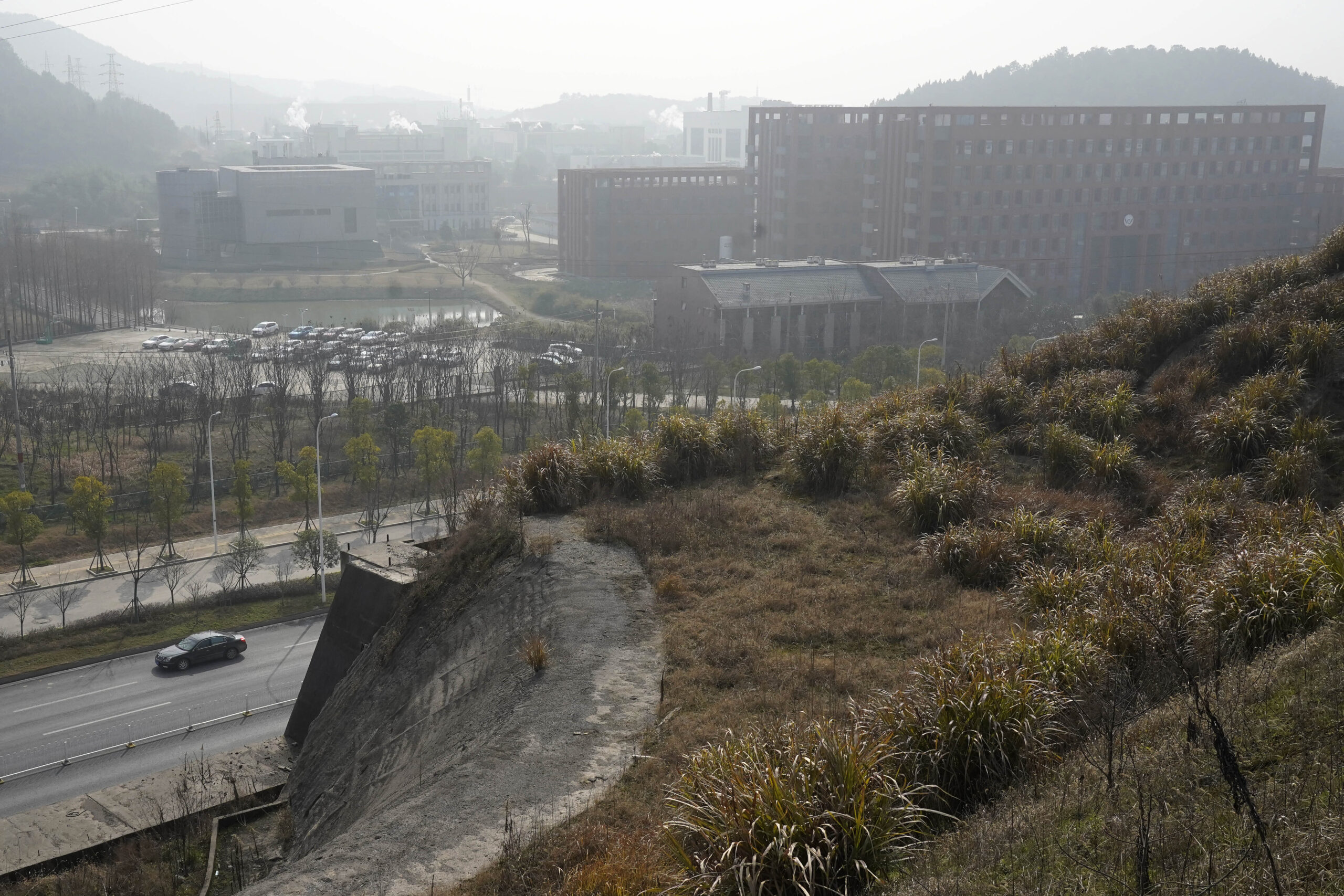 Stop funding China’s pathogen research