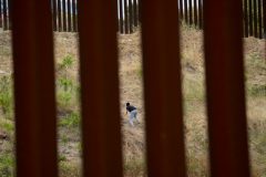 California veterans group patches border wall in absence of repairs: ‘I had to do it myself’