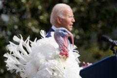 Boston suburb spends leftover pandemic funds on turkey art
