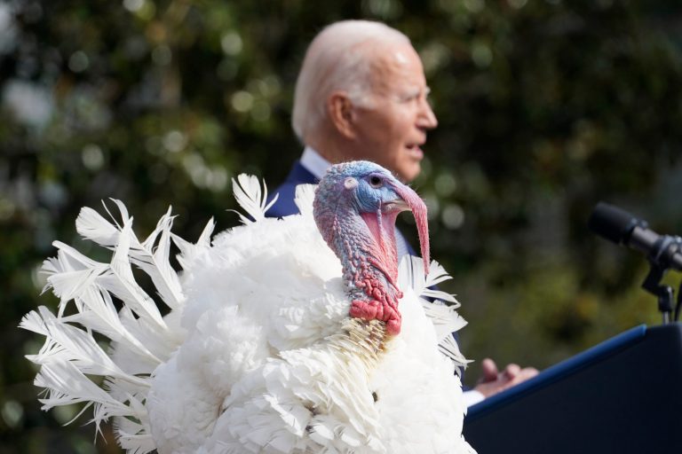 Boston suburb spends leftover pandemic funds on turkey art
