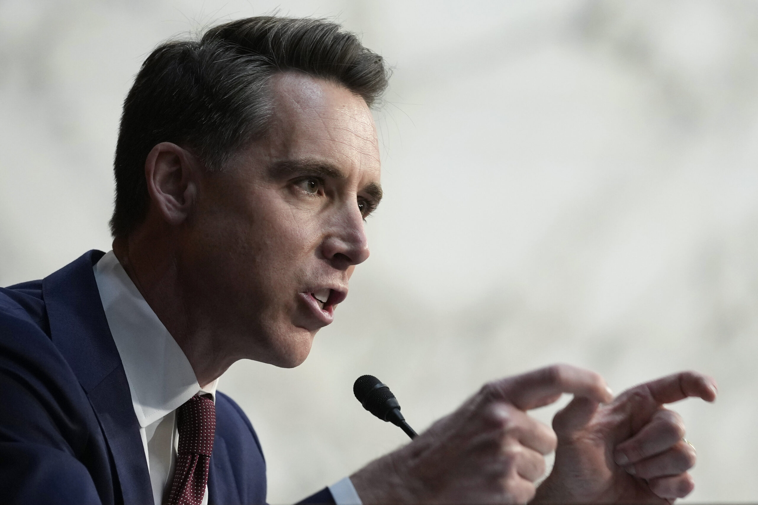 Hawley says Biden making border visit is a ‘middle finger to middle America’