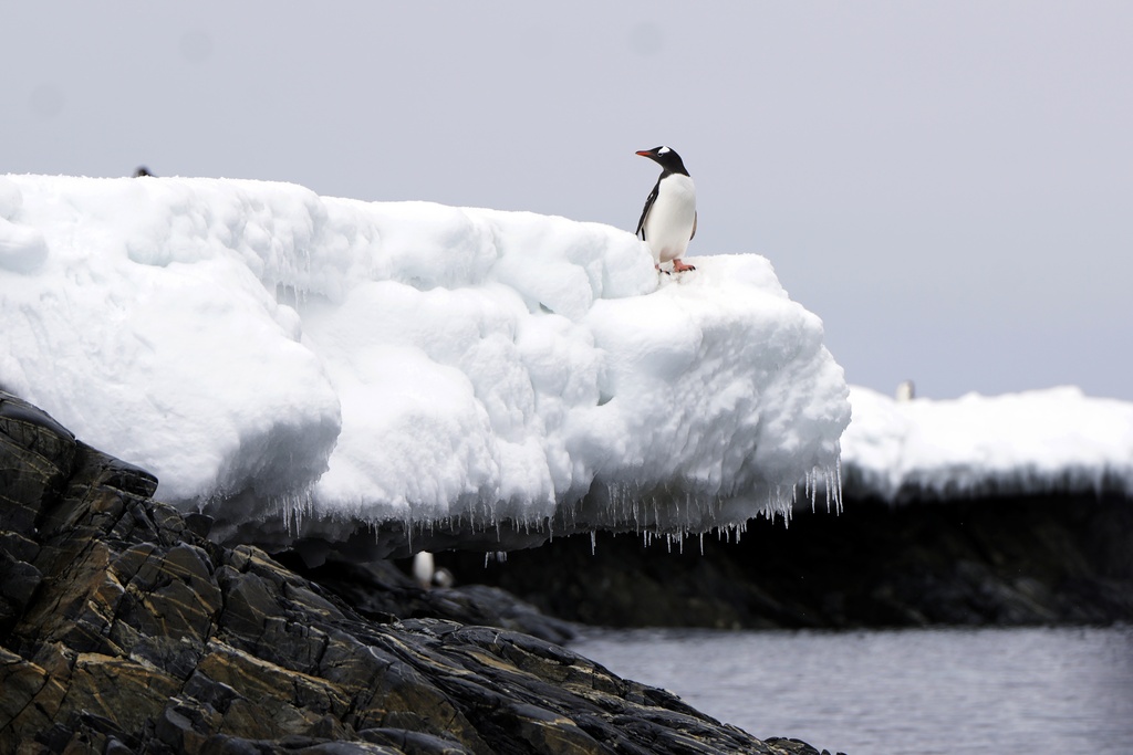 Don’t let Iran colonize Antarctica