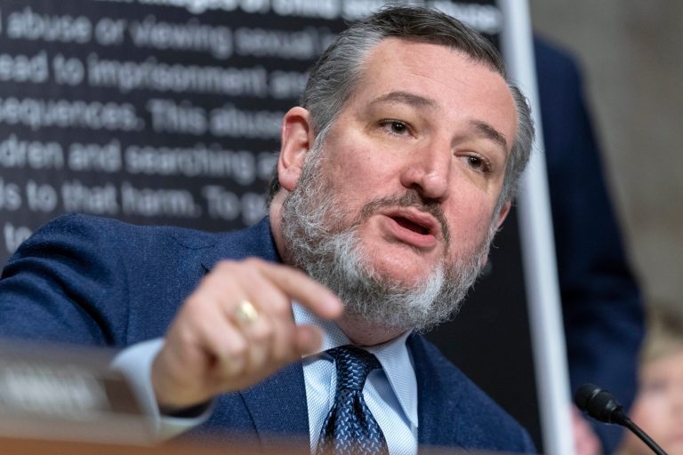 Cruz denounces lack of any ‘meaningful’ border security policy in House-passed foreign aid package