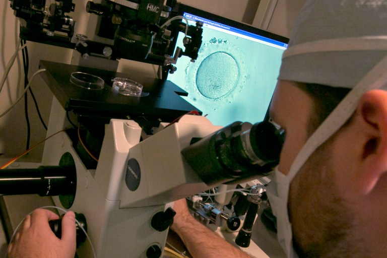 The status quo in embryo research is barbaric