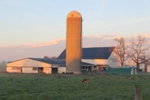 Farm Bill’s advance carries strength for $111B industry