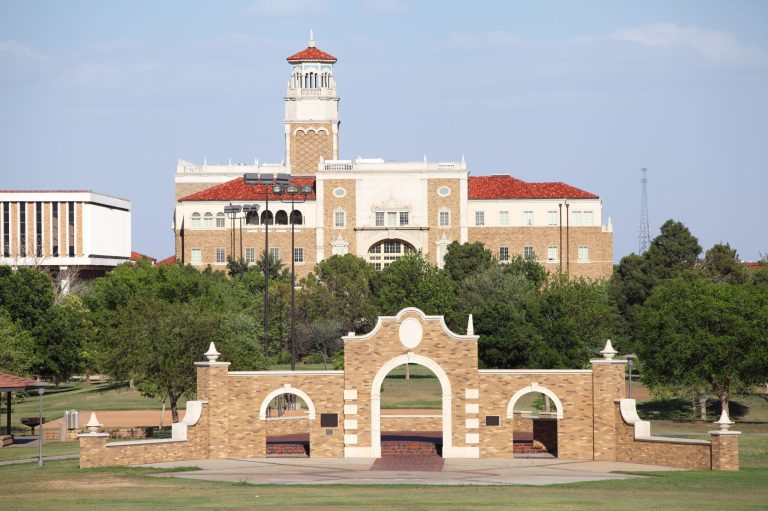 Texas universities implement DEI under the table after statewide ban