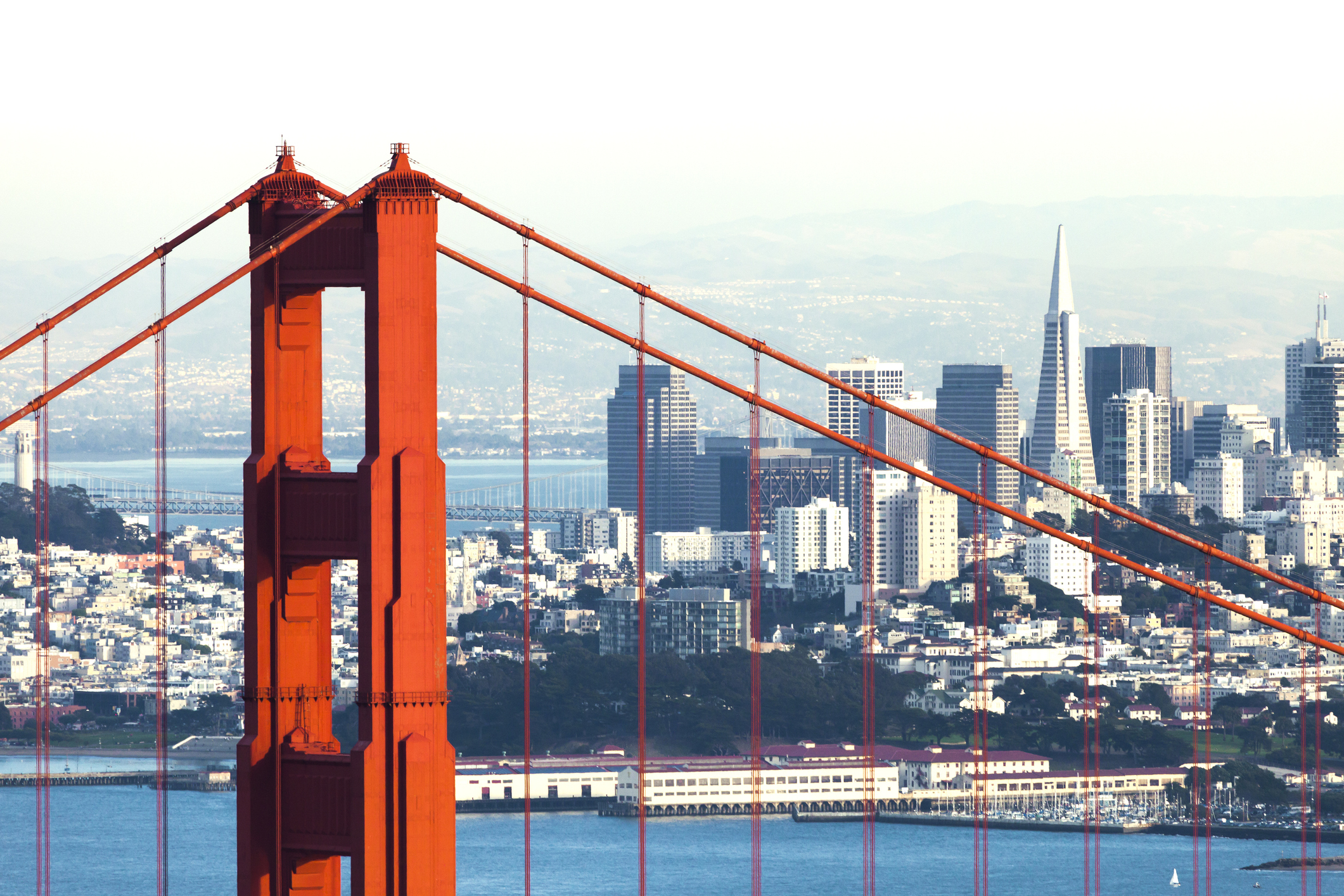 San Francisco Elections Commission blasted for appointment of noncitizen from China
