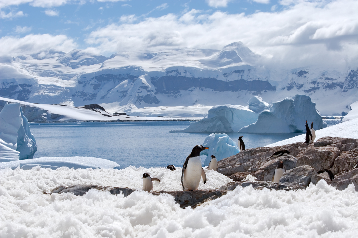 Iran claims ownership over Antarctica and plans military base there
