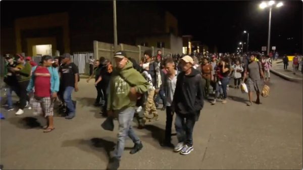 Economic contributions from immigrants released into US from border may come with strings attached, experts warn