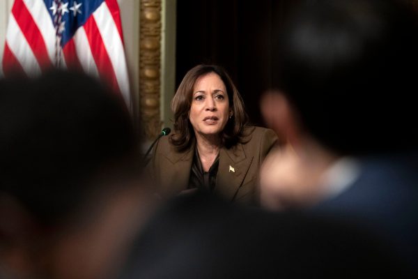 Kamala Harris faces critic’s call to step down ‘for the country’s sake’