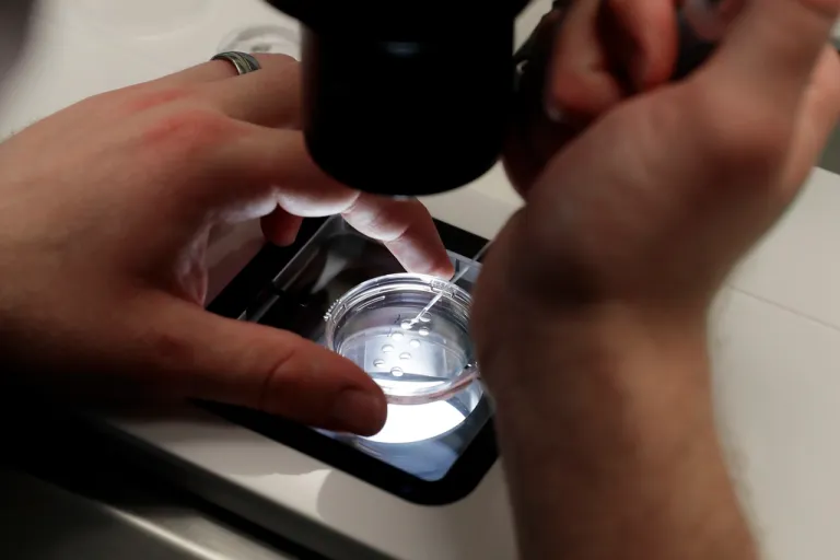 What’s not to love about IVF?