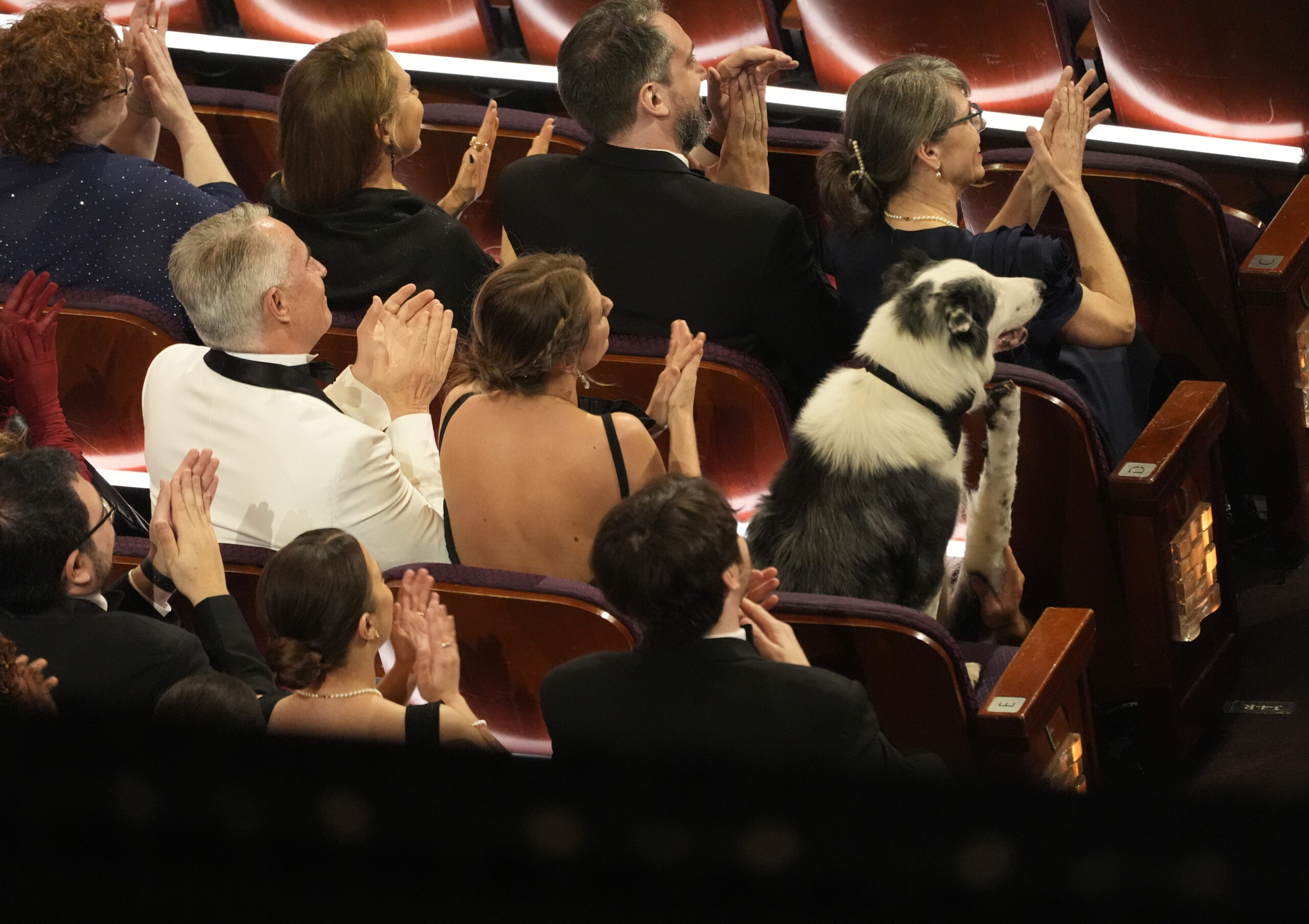 The View host says ‘normalcy is back’ at the Oscars: ‘That dog was better behaved than Will Smith’