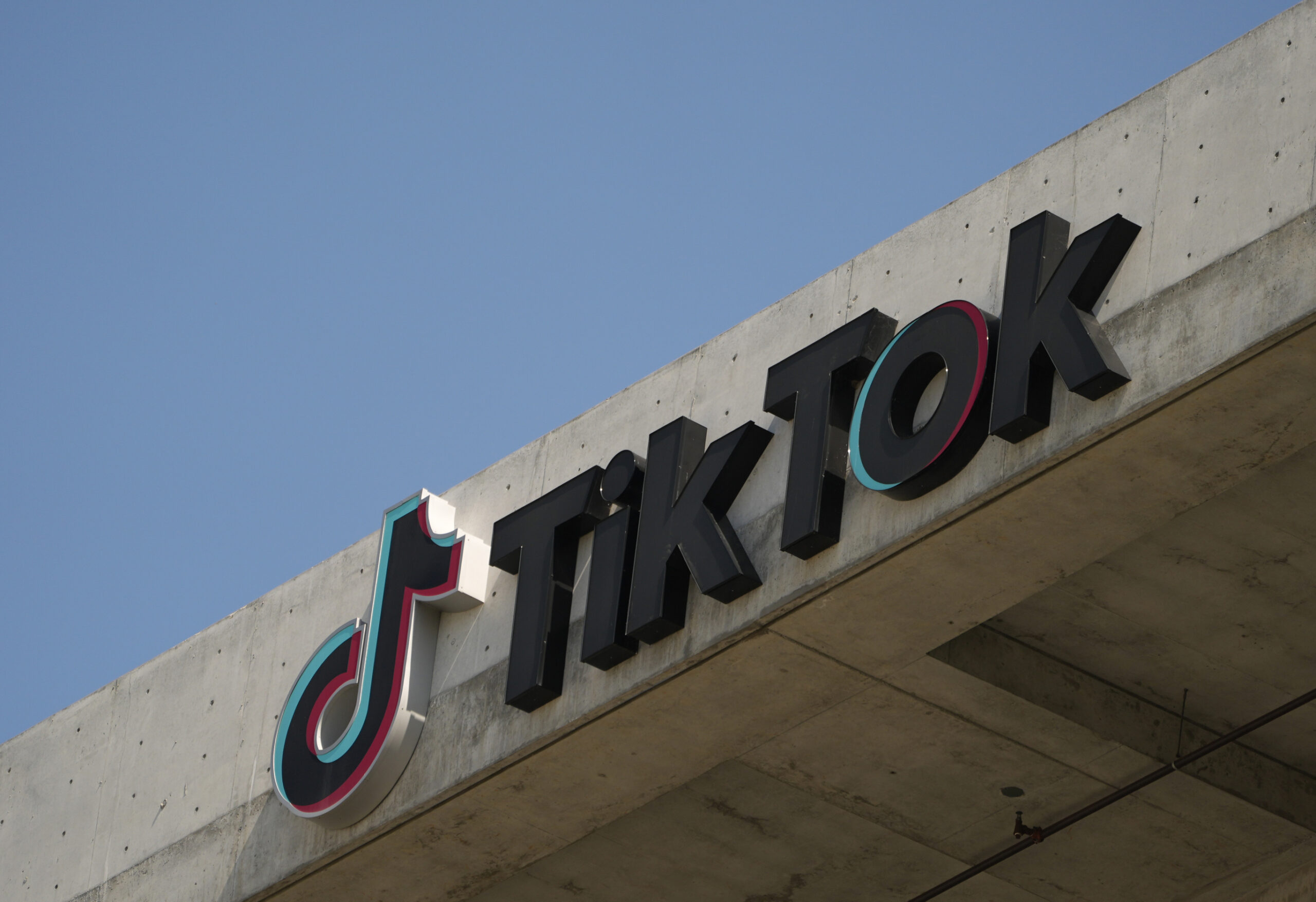 Bipartisan bill forcing sale of TikTok could hit free speech roadblocks