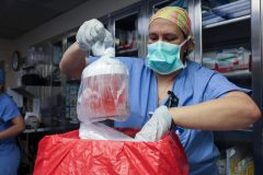 US surgeons have transplanted a pig kidney into a patient