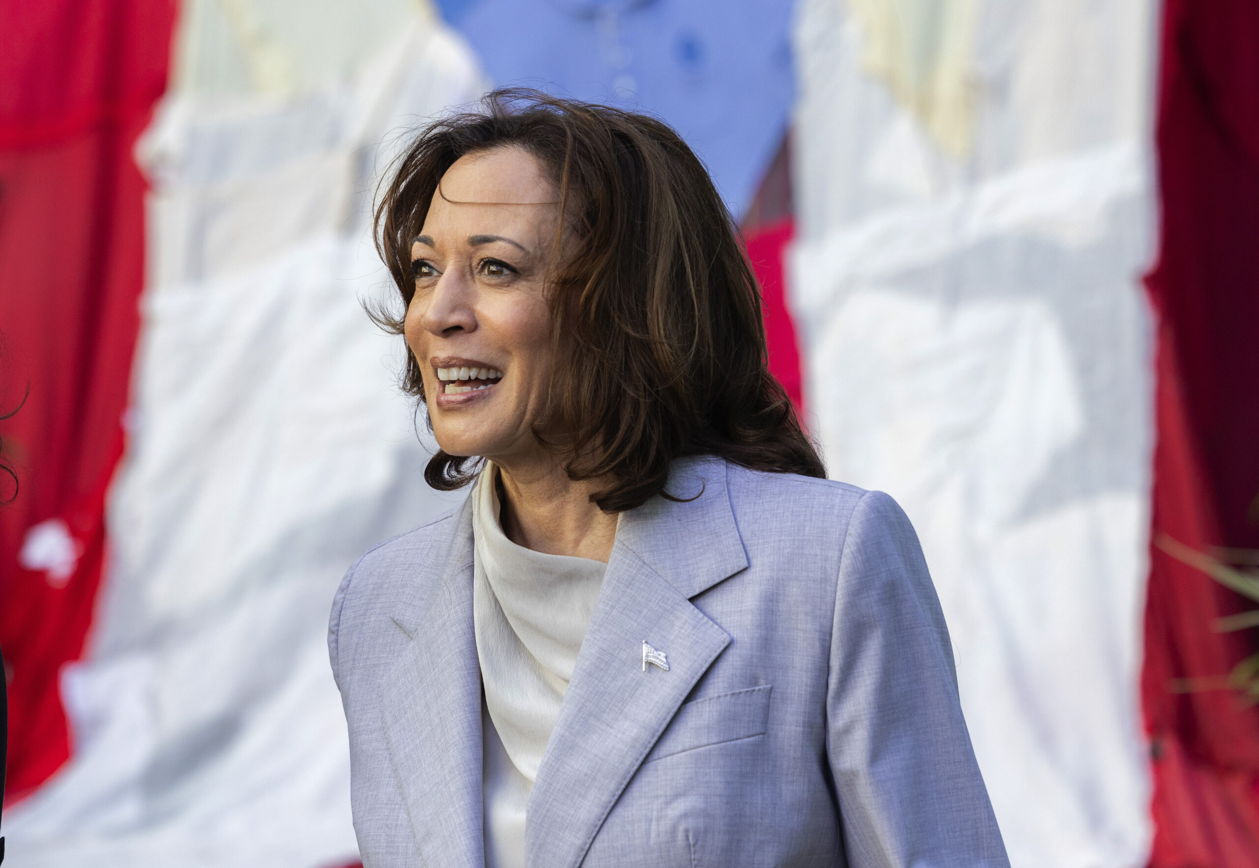 Harris sidesteps question on why Biden campaign is using TikTok amid security concerns