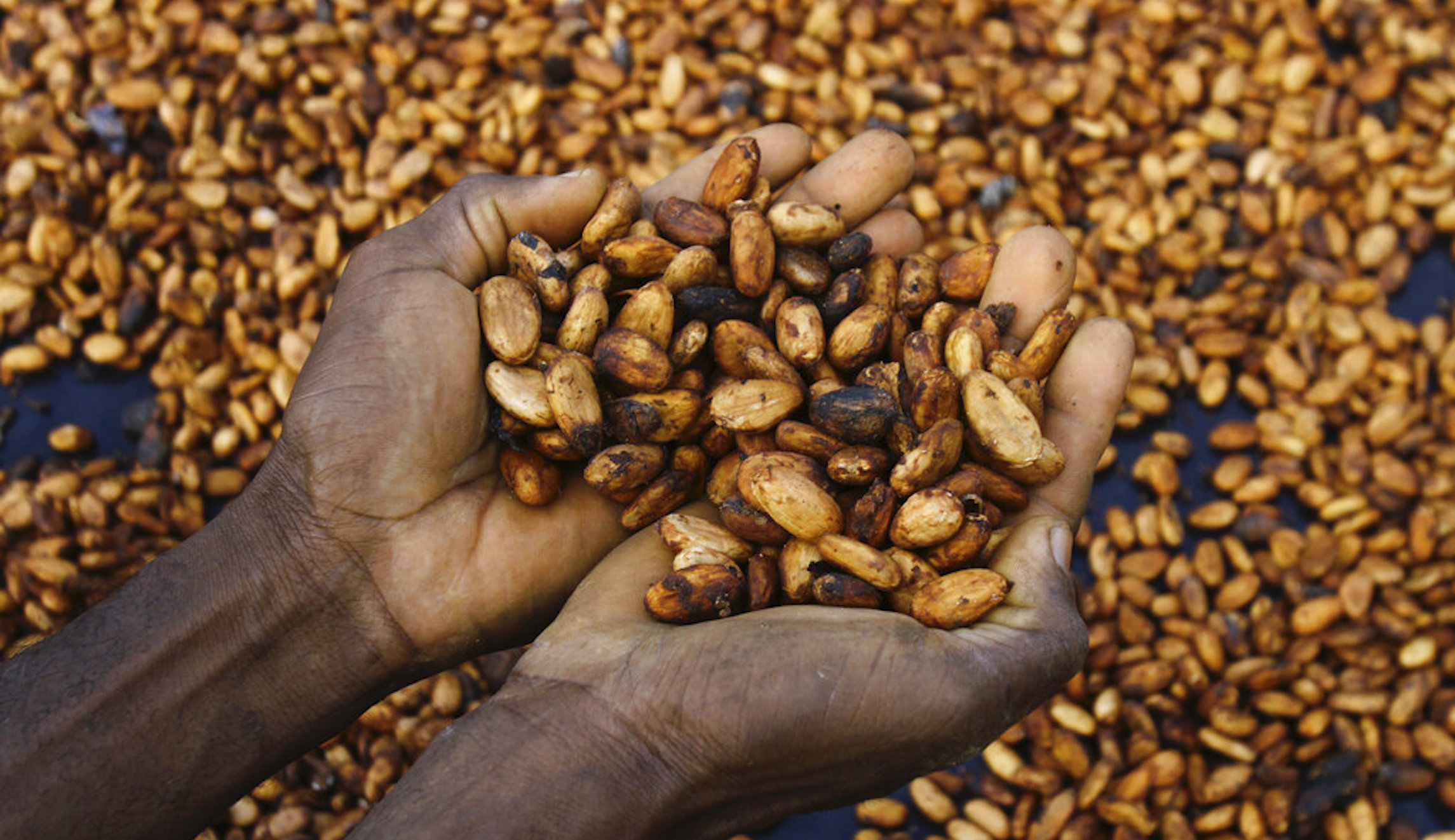 Records for gold, coffee, copper, cocoa: What commodity prices say about inflation
