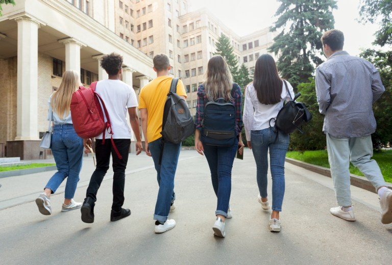 Illinois public school program excludes white students