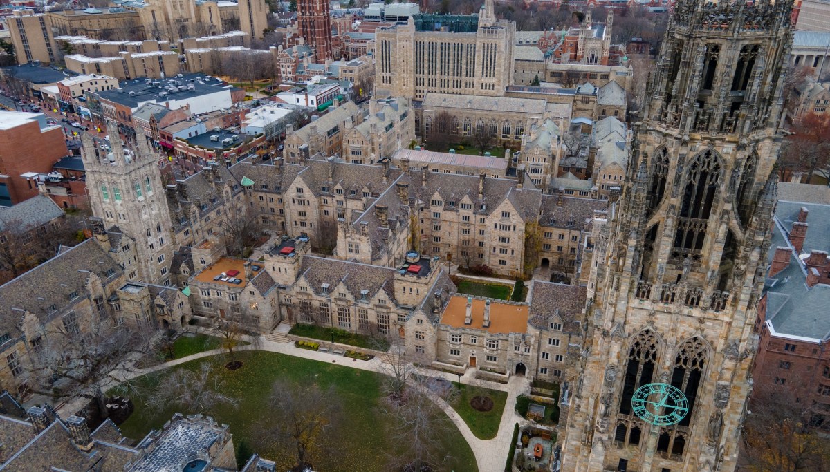 Universities cannot survive as left-wing echo chambers