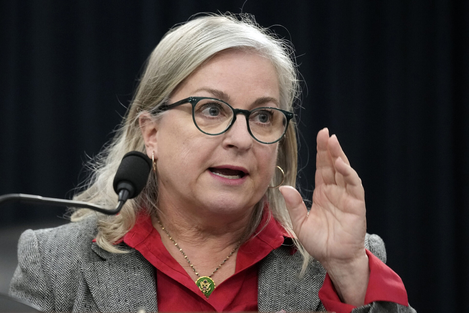 Pining for Pennsylvania Republicans battle to take on Susan Wild and