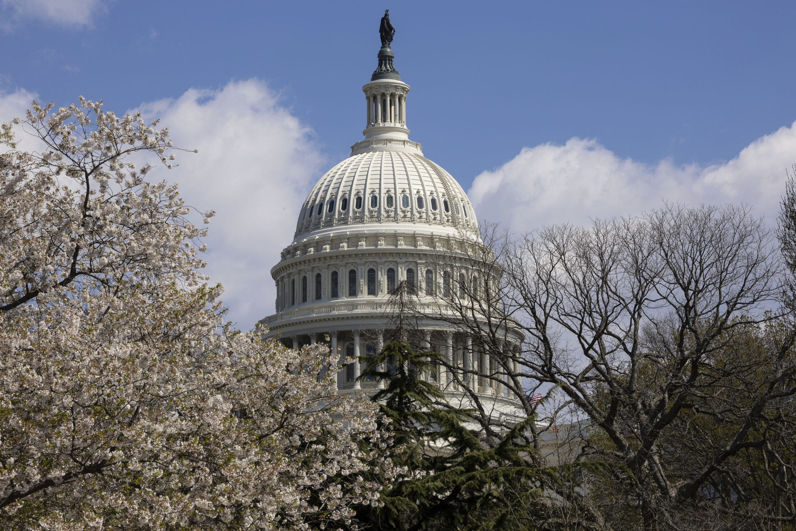 Congressional probe opened on ‘mealy-mouthed, spineless college leaders’