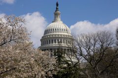Stablecoins: What they are and why Congress is looking to write rules for them