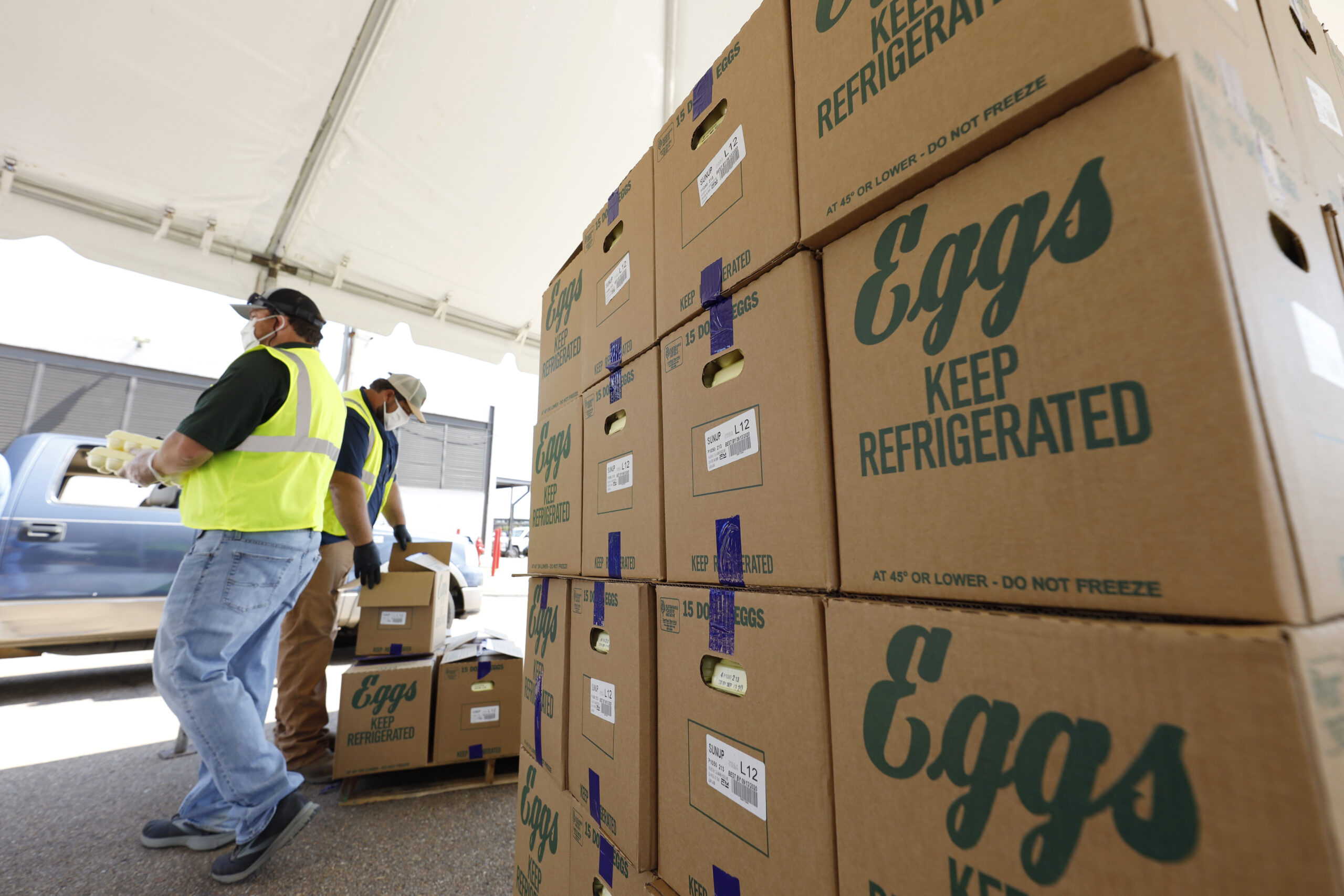 Largest US fresh egg producer finds bird flu in chickens at Texas plant