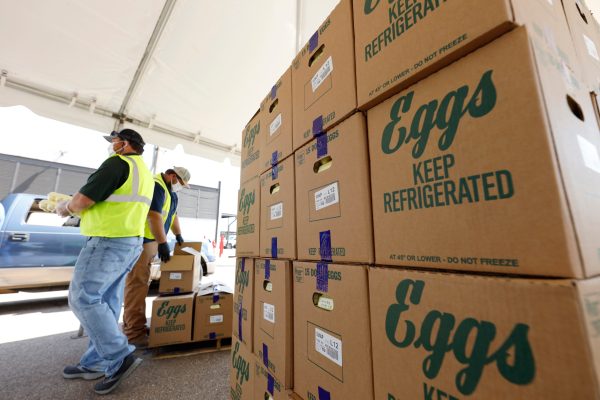 Largest US fresh egg producer finds bird flu in chickens at Texas plant