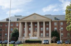 Bipartisan push to stop NIH pain tests on cats and dogs