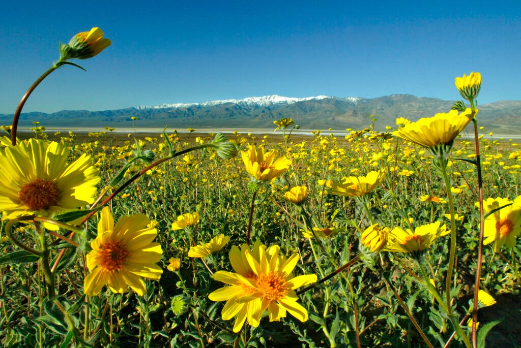 Our most extraordinary experiences for a one-of-a-kind Spring getaway