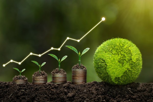 States force green transition in public transportation despite taxpayer burden