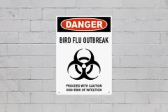 USDA bird flu research in China sparks congressional concern