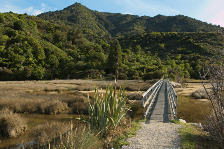 New Zealand