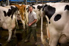 Raw milk contaminated with bird flu poses risk to humans: NIH study