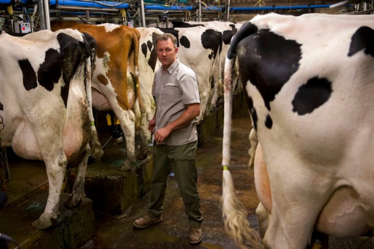Raw milk contaminated with bird flu poses risk to humans: NIH study