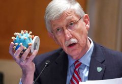 Former NIH Director admits lab-leak theory of COVID origin is not conspiracy theory