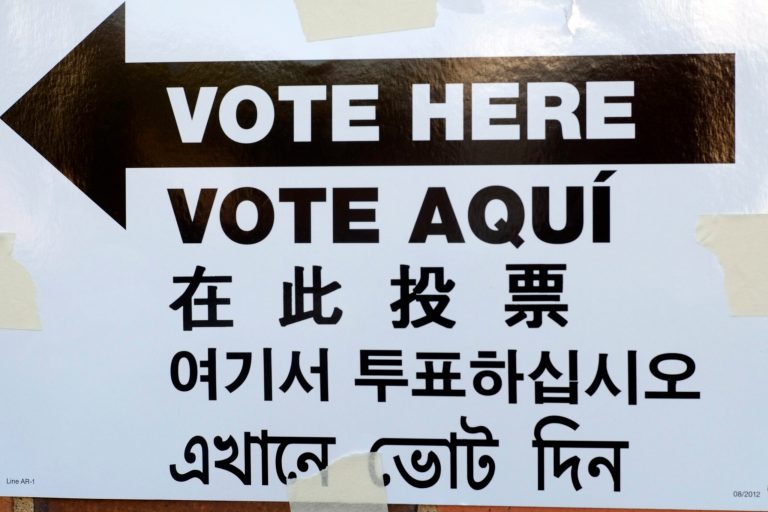 DC hosted voting registration training for illegal immigrants