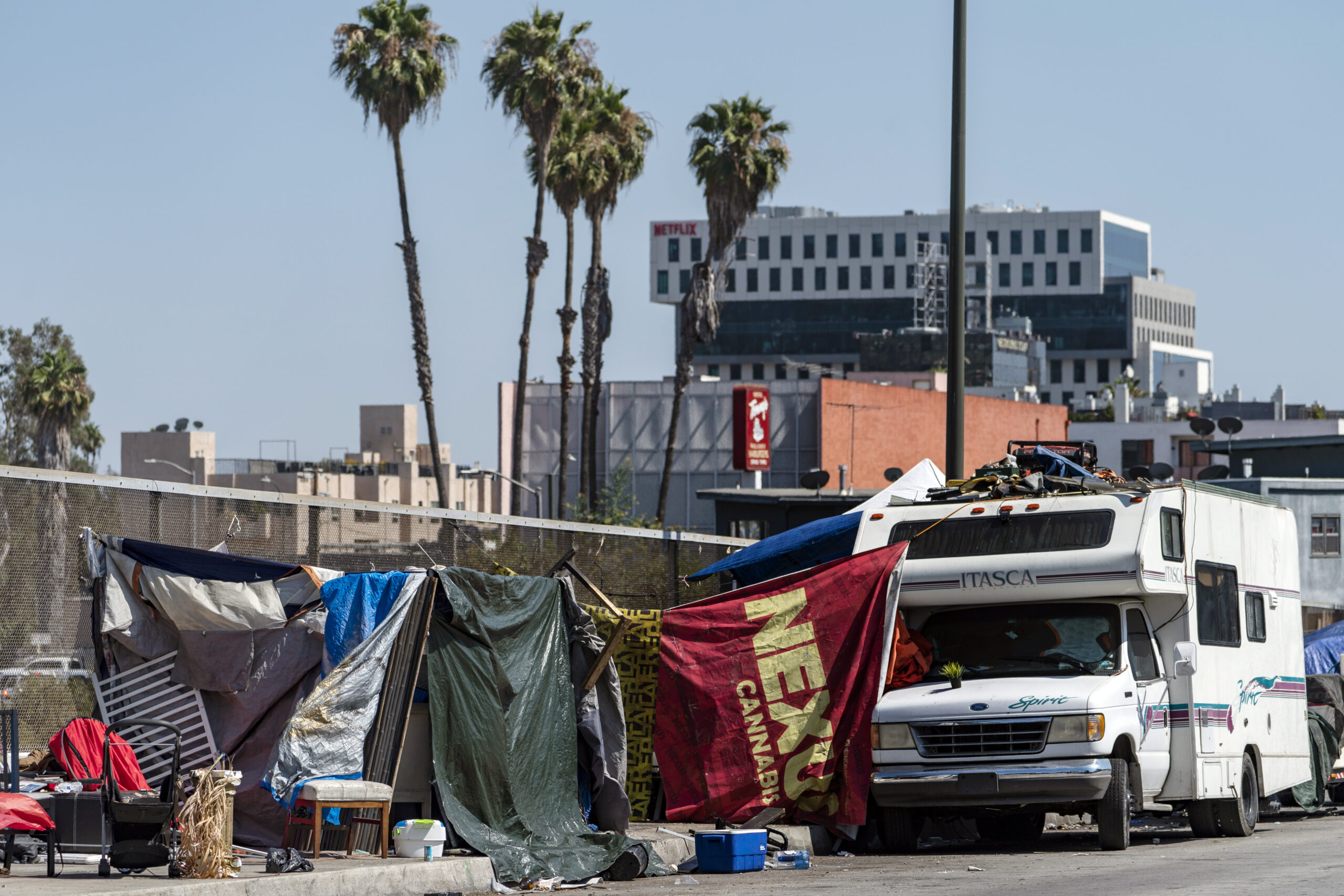 Hollywood locals plant garden beds to battle homeless epidemic hurting businesses