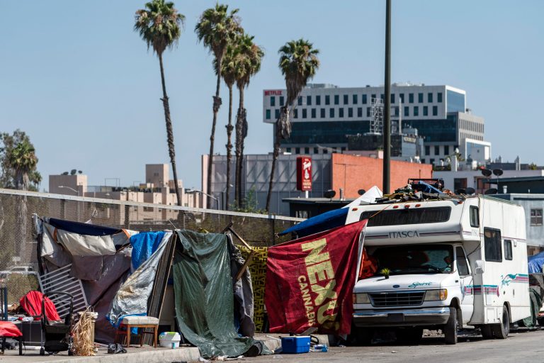 Hollywood locals plant garden beds to battle homeless epidemic hurting businesses