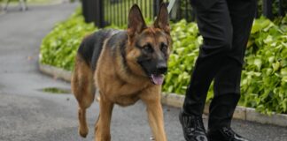 Secret Service destroyed film of Commander attacking agent at White House