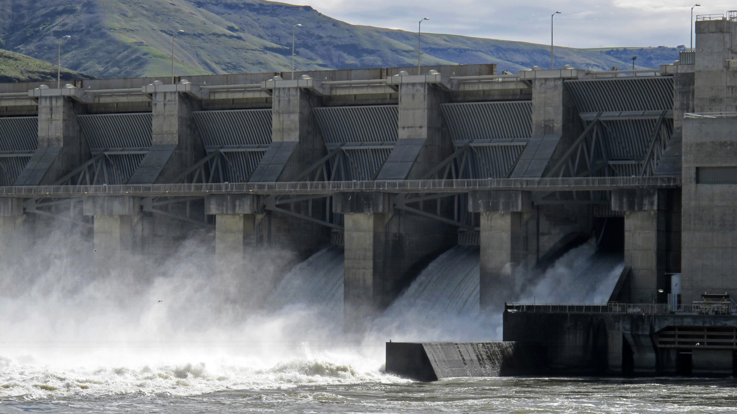 Washington congressman, others ramp up fight to save lower Snake River dams