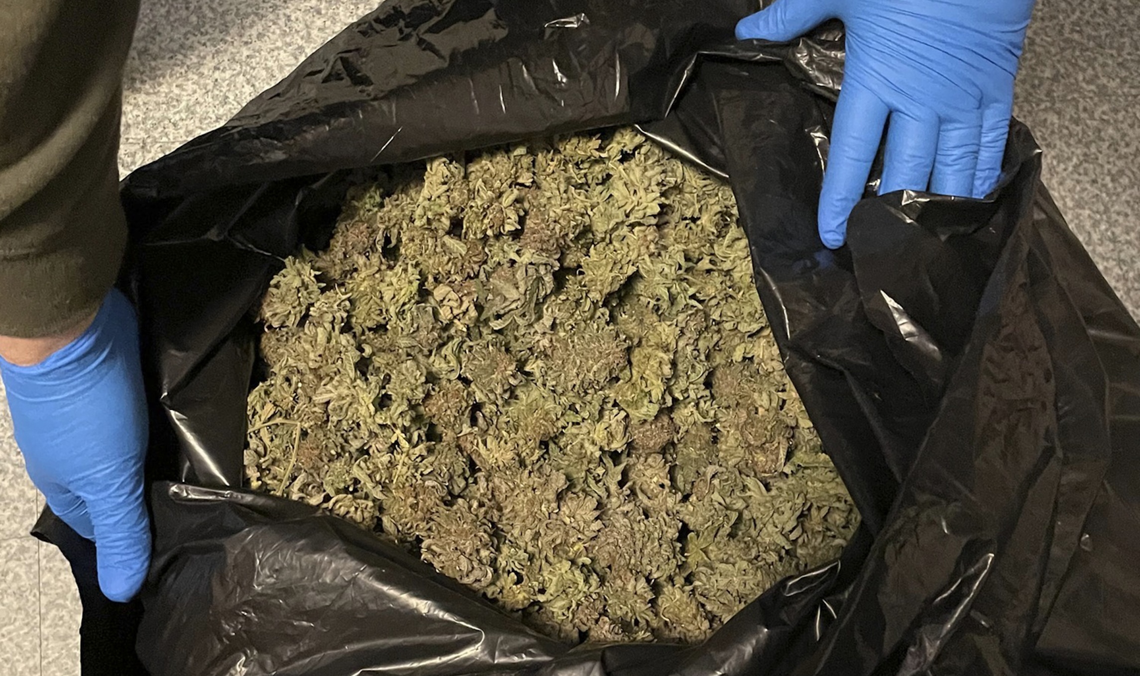 Colorado’s cannabis tax bust