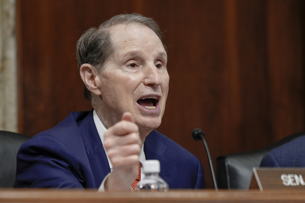 Senate slams Social Security service