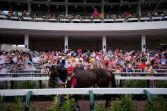 What to know about the 2024 Kentucky Derby