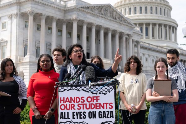 Tlaib implies voters should protest Biden at the ballot box in November at pro-Palestinian confab