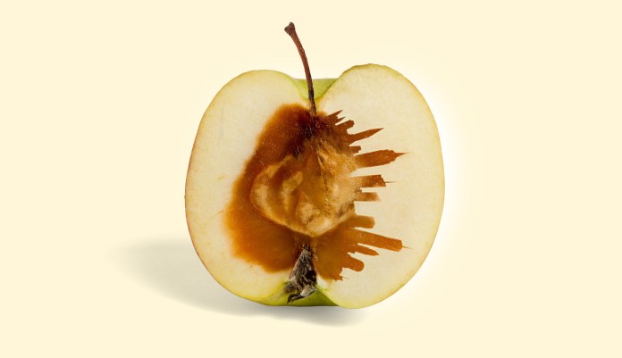 Big rotten apple: The anti-Israel protests are just the latest sign of New York City’s decline