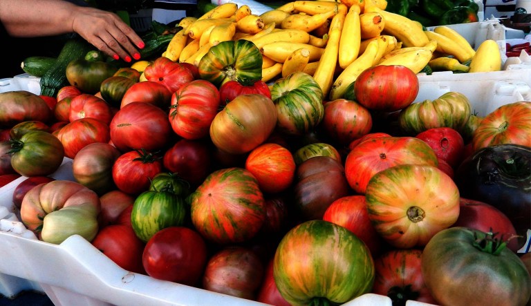 Food stamps: 35 states and territories will start seeing SNAP benefits appear next week