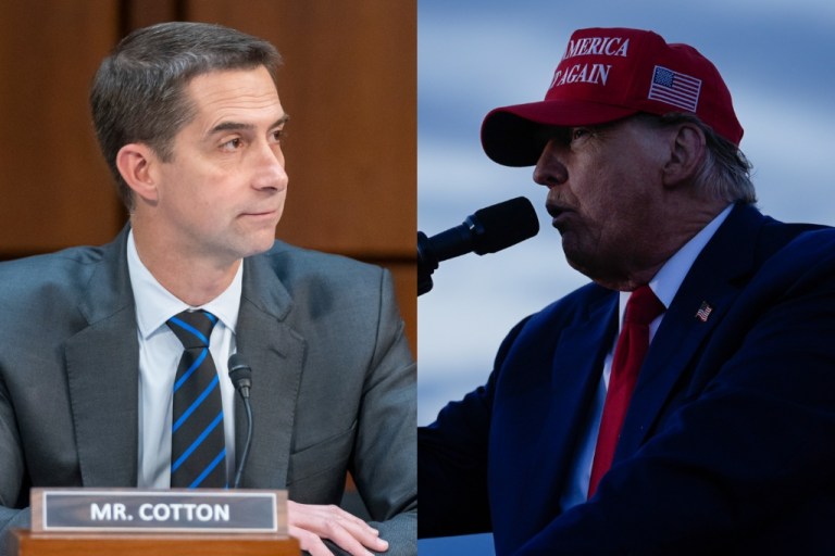 Who is Tom Cotton? Meet one of the eight top names on Trump’s VP short list