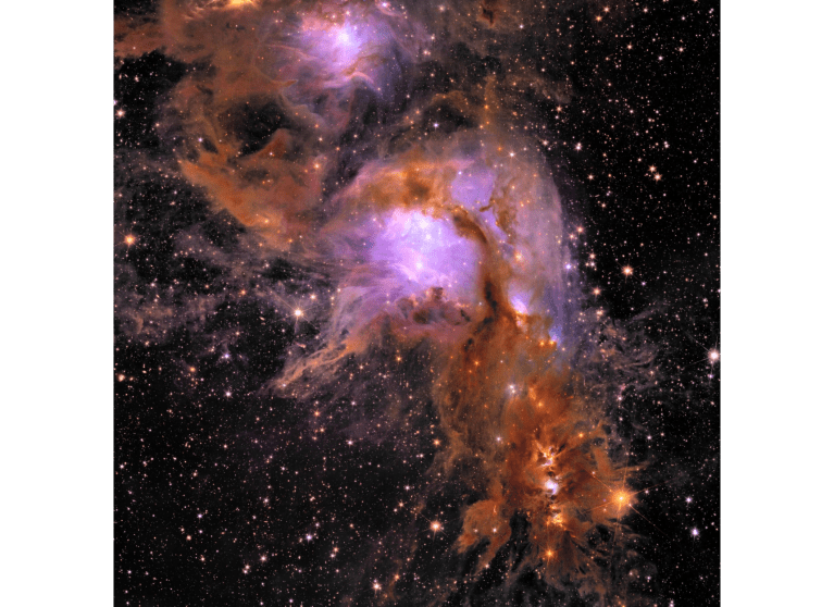 Euclid space telescope releases photos of stellar nursery and galaxy clusters