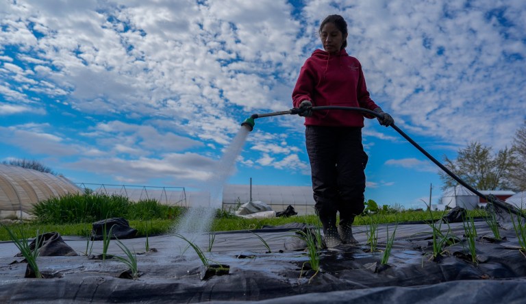 People who eat red meat to pay price for climate change in World Bank report